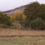 image21